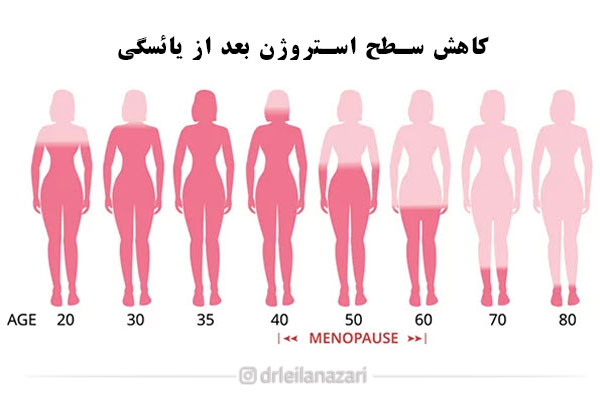 کاهش قدرت باروری پس از یائسگی