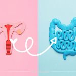 نقش باکتری‌ های مفید روده در باروری زنان (پروبیوتیک در باروری)