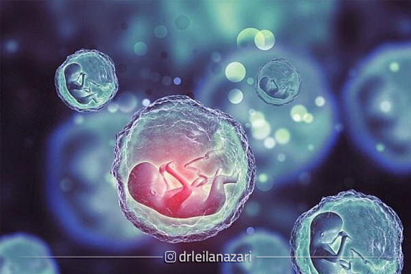 سلول های بنیادی و نقش آن ها در ناباروری