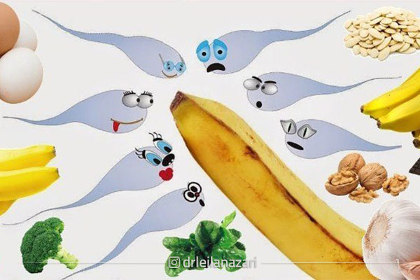 آنتی اکسیدان های نجات دهنده اسپرم!