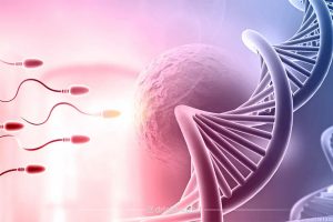 بررسی کیفیت DNA اسپرم؛ شاخصی مهم در ناباروری مردان