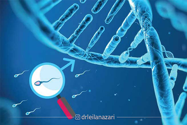 چرا کیفیت DNA اسپرم از تعداد و تحرک هم مهم تر است؟