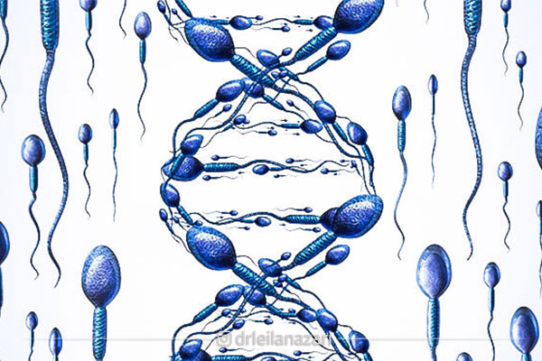 ۵ عاملی که آرام آرام DNA اسپرم را نابود می کنند (و شاید نمی دانستید)